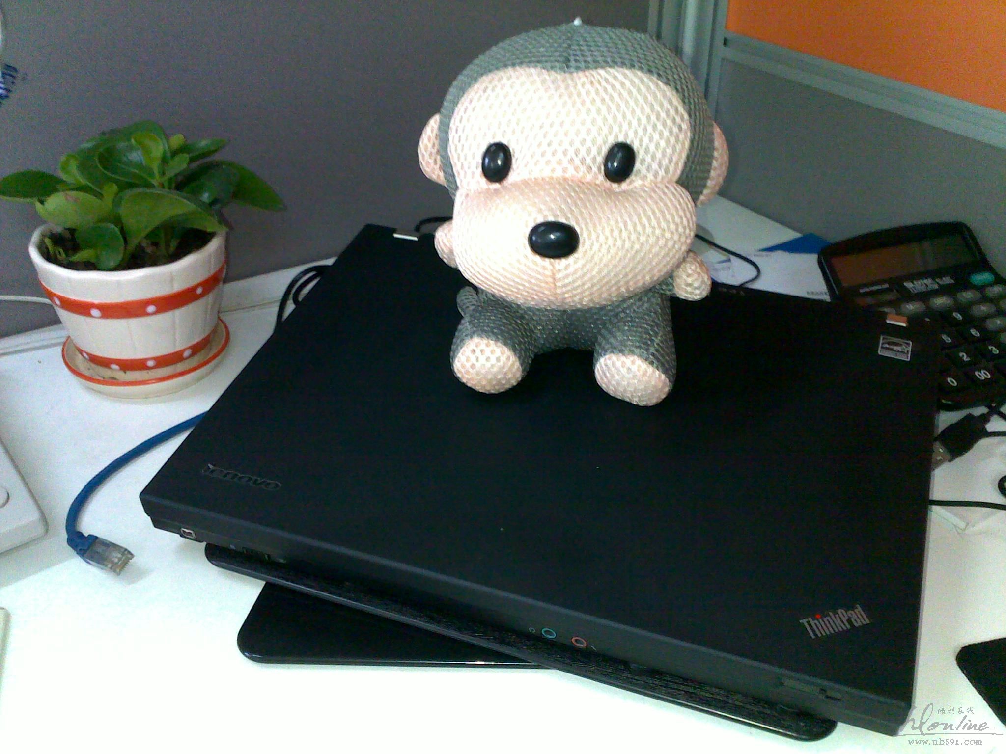 my monkey with T400.jpg